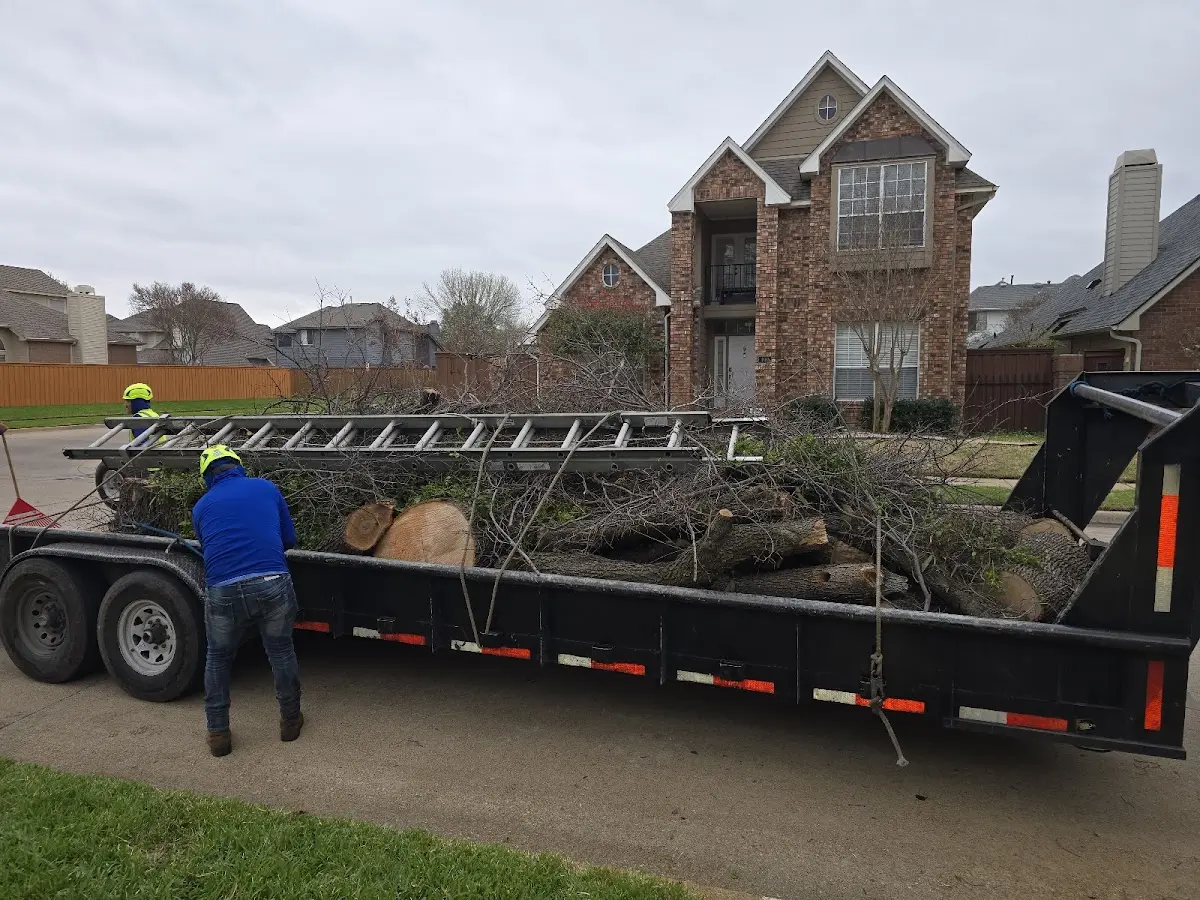 Expert Tree Fertilization with proper safety equipment in New Holland